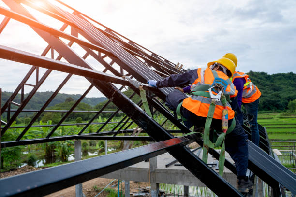 Best Roof Gutter Cleaning  in Royston, GA