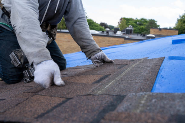 Best Residential Roofing Contractor  in Royston, GA
