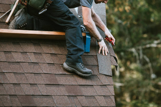 Gutter Installation and Roofing in Royston, GA