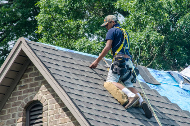 Best Roof Waterproofing Services  in Royston, GA